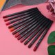 thumbnail image 2 of Lápiz delineador de labios de larga duración kit de delineador de labios herramienta cosmética para lápiz delineador de ojos sin irritación a prueba de agua para mujeres y ANGGREK Otros, 2 of 8