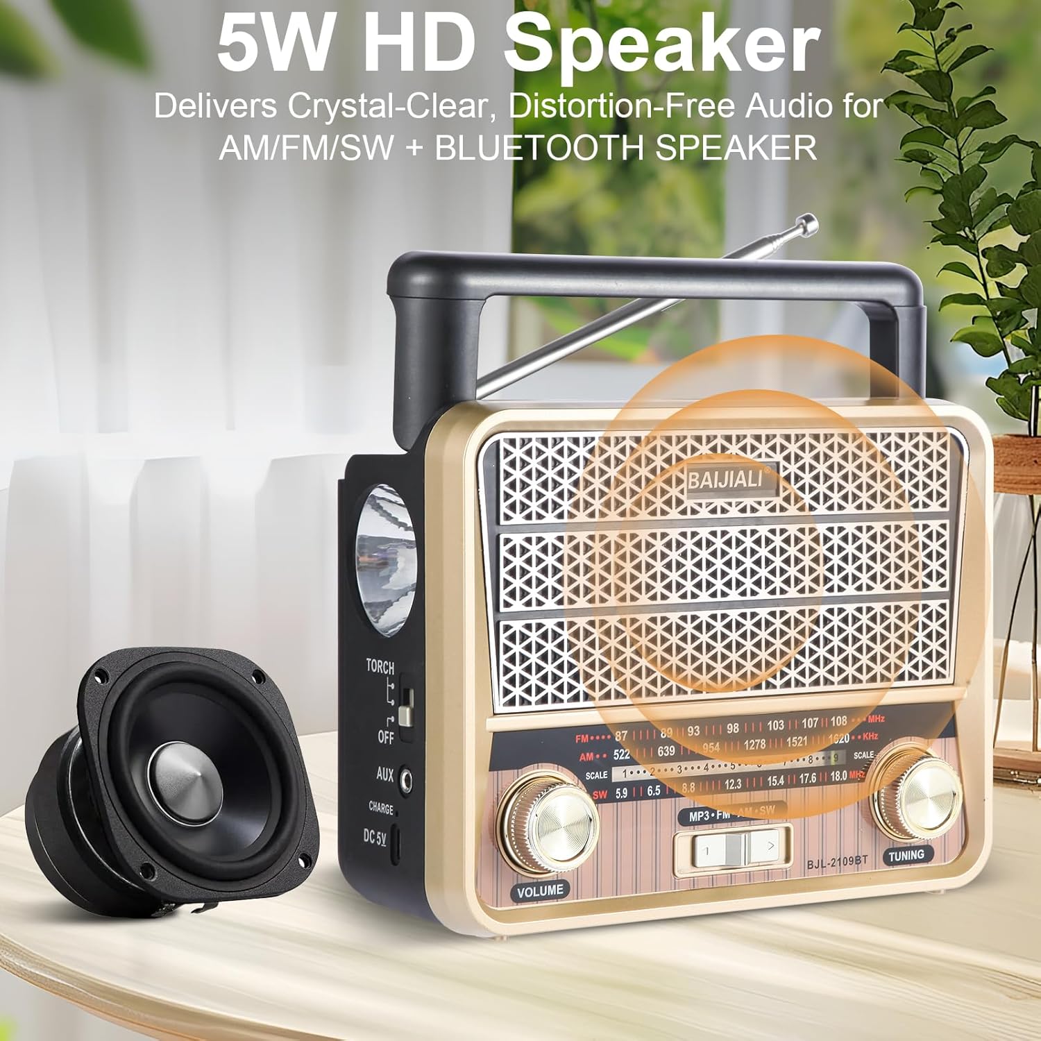 LC-dolida Portable Emergency Radio AM/FM/SW with Bluetooth LED Flashlight Dual Power Supply TF Card/USB Playback, Strong Reception Loud Sound for Home Seniors Outdoor Use