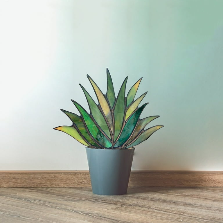 aloe vera mundsplung selber machen Aloe Vera Mundsplung