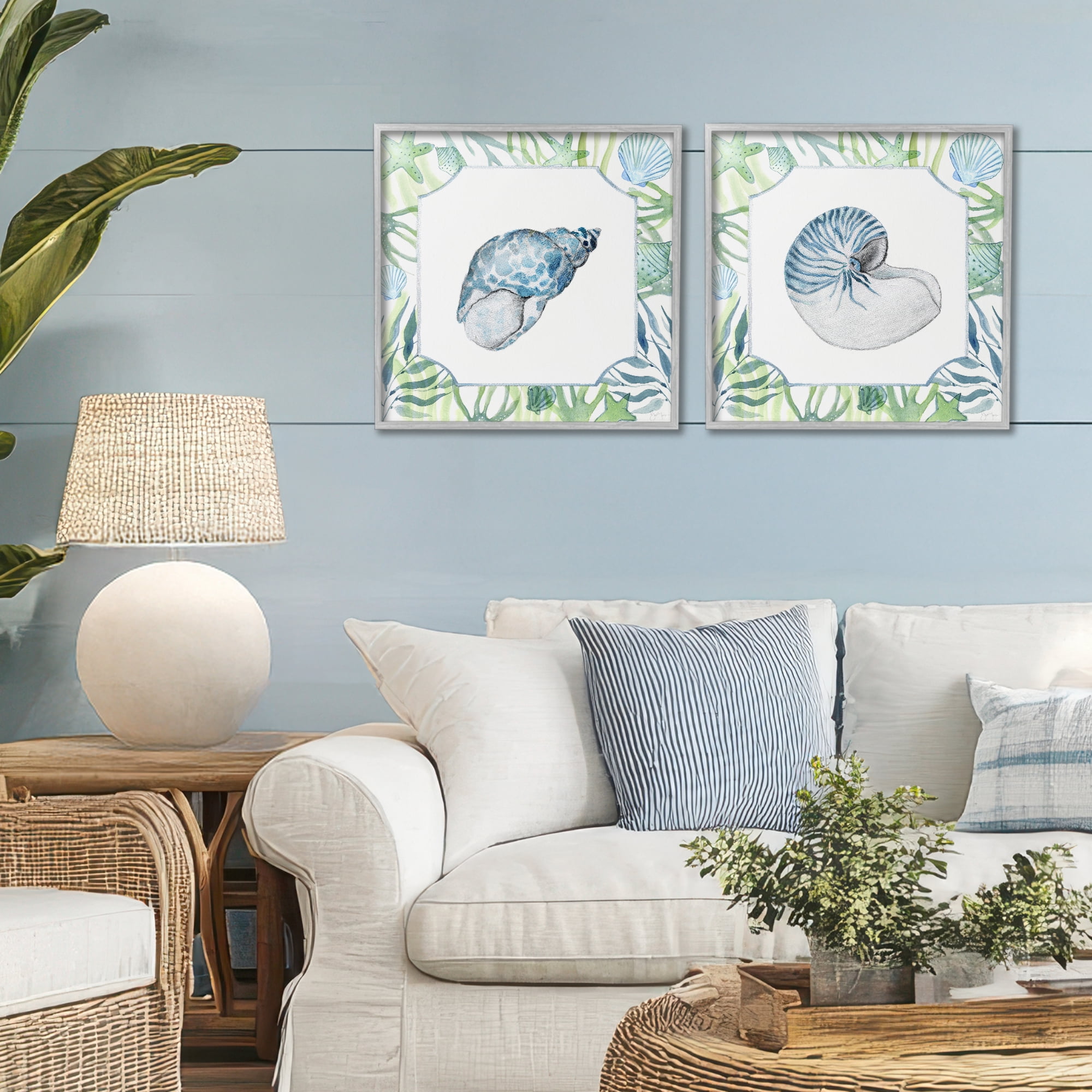 Stupell Industries Seaweed Bordered Seashells 2 Piece Gray Framed Giclee Art Set, design by Janet Tava