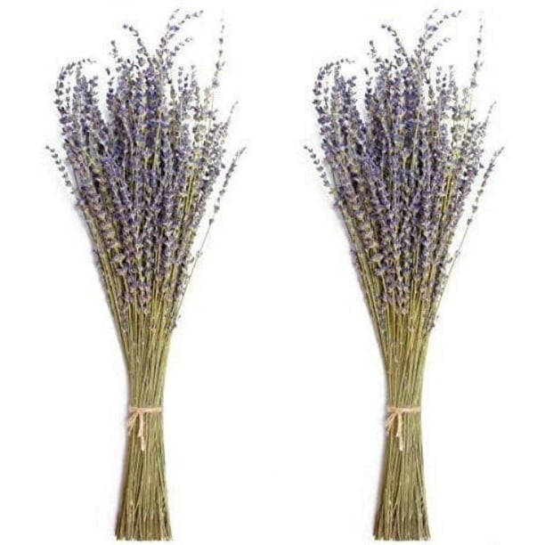 Paquetes de lavanda seca, flores de lavanda secas naturales para decoración del hogar, accesorios para fotos, fragancia para el hogar, paquete de 2 paquetes Ormromra WRJM-431