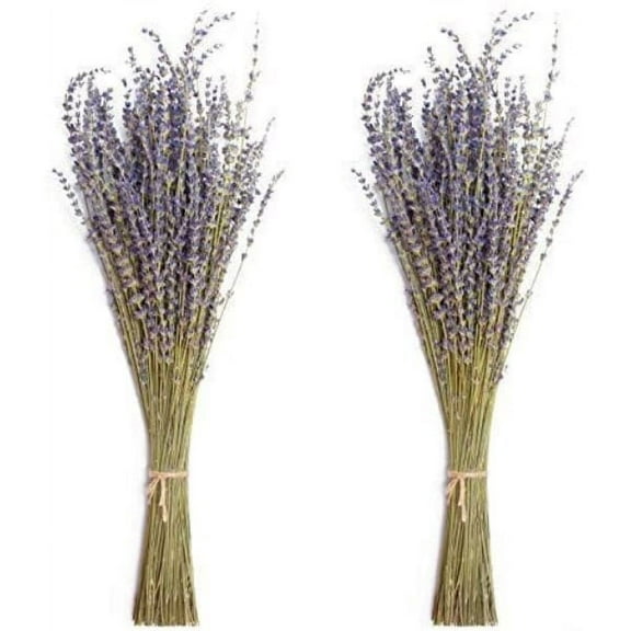 Dried Lavender Bundles Natural Dried Lavender Flowers For Home Decoration