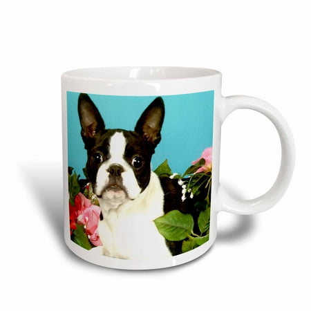 - 3dRose Emma Boston Terrier, Ceramic Mug, 11-ounce