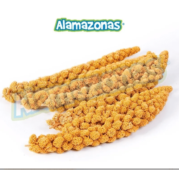 Panizo 500g Alamazonas
