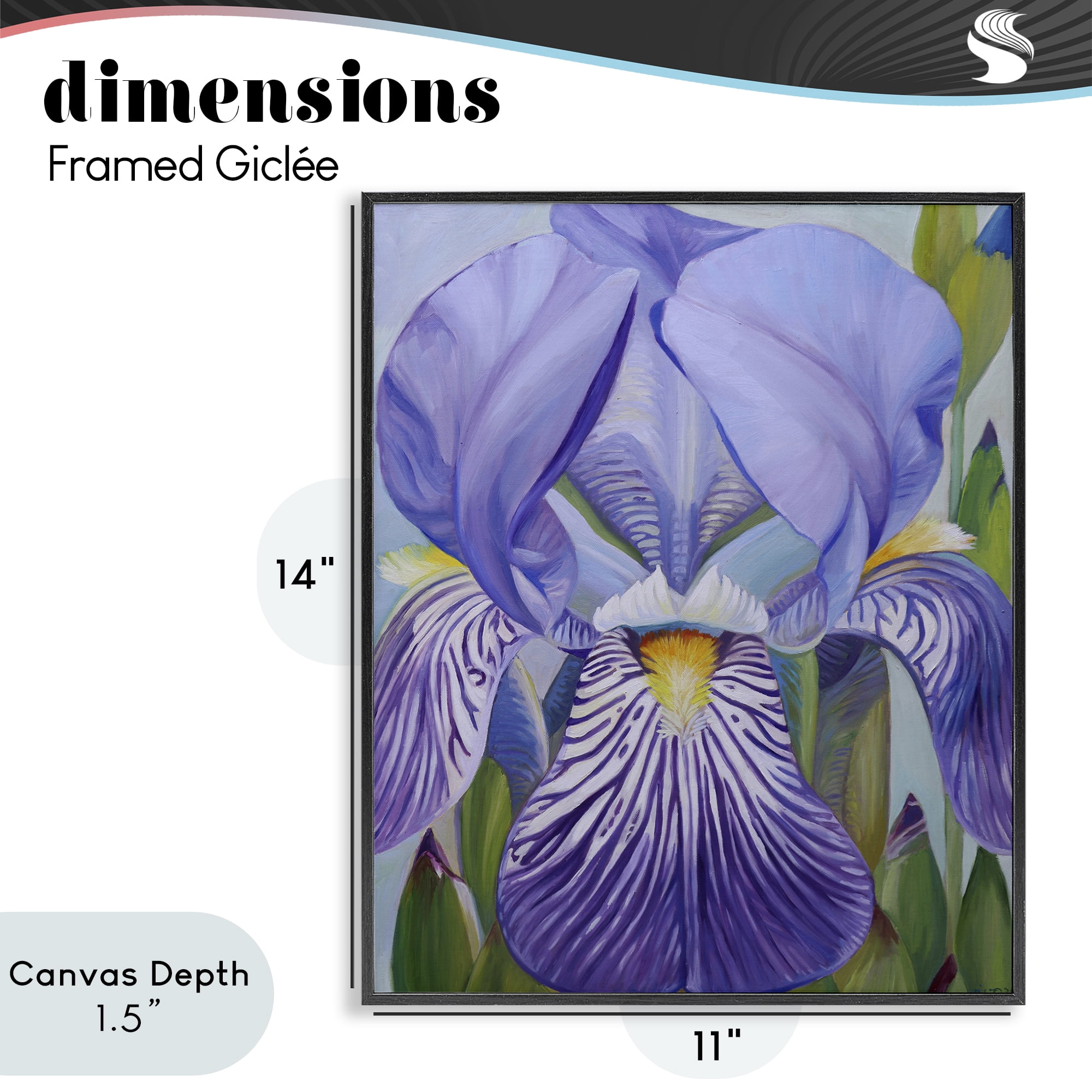 Stupell Industries Blooming Purple Iris Petals Black Framed Giclee Art, design by Violeta Vollmer