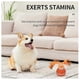thumbnail image 5 of Power Tail 2.0 Dog Toy, Interactive Dog Ball, Jumping Ball Toy, USB Rechargeable, 5 of 5