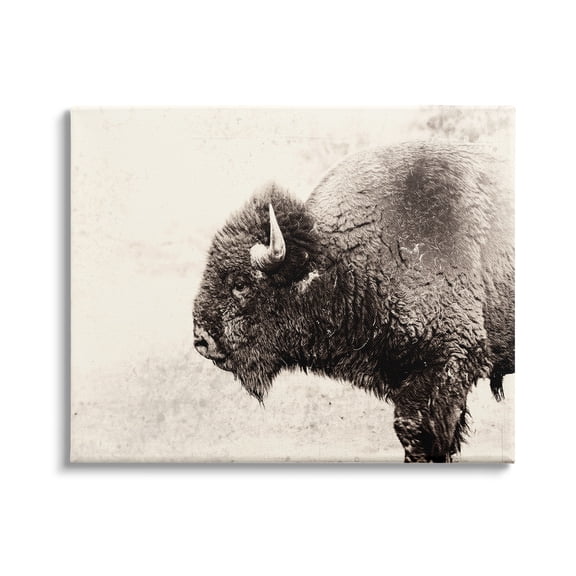 Stupell Industries Shaggy Buffalo Rustic Portrait Vintage Sepia Tone Photography, 48 x 36,Design by Nancy Crowell