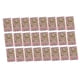 thumbnail image 1 of Caja de Joyería de Papel de Cartón Fernando 24 Unids Verde, 1 of 8