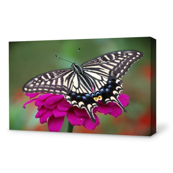 Wall26-Canvas Wall Art-Beautiful Butterfly-Giclee Painting Wall Art for Bedroom Living Room Home Decoration - 24x36 inches