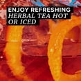 thumbnail image 2 of TAZO Tea Bags, Iced or Hot, Passion Herbal Tea, 20 Tea Bags (Pack of 6), 2 of 6