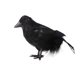 thumbnail image 1 of Cuervos Negros De Halloween, Utilería Artificial, Simulación De Pájaro, Juguetes Falsos De Animales, Decoraciones De Pascua, Señuelo De Pájaros Disuasorio Para Exteriores Monstrate HA020137-00, 1 of 5