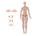 thumbnail image 2 of Juego de Manos Flexibles de 20 Articulaciones Cuerpo Articulado Y Zulema Blythe desnudo, 2 of 8