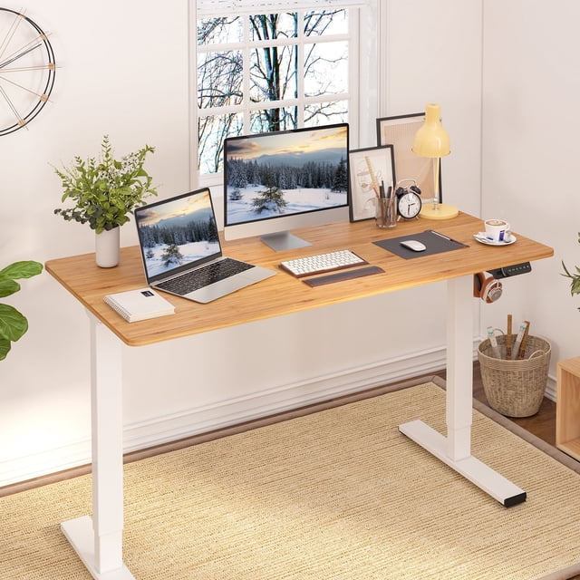 FlexiSpot 48"X24" Home Office Height Adjustable Standing Desk White Computer Desk Bamboo Desktop