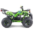 thumbnail image 3 of TaoTao T-Force Fully Automatic Mini Utility 110cc ATV, 3 of 4