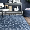 thumbnail image 5 of nuLOOM Vasiliki Moroccan Shag Tasseled Area Rug, 2' 6" x 6', Runner, Vasiliki Blue, 5 of 5