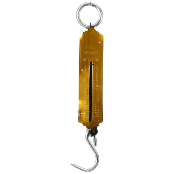 Miangastore Balance à Ressort Verticale Portable de 100 kg, Balance de Vente pour Légumes, Crochet Mécanique Suspendu, Balances (Doré)