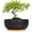 Black, variant on Terracotta Pot 8 inch Shallow Round Succulent Planter Bowl with Drainage & Bamboo Tray Flower Pots for Indoor Plants Cacti Bonsai Red
