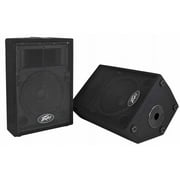 Peavey PVI10 Two-Way 10" Speakers - 1 pair