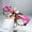 Pink Leopard, variant on New Fashion Cat Eye Flat Glasses Unisex Double Color Decoration Eyeglasses