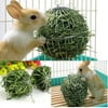 Sphere Treat Feed Dispense Hanging Hay Ball for Guinea Pig Hamster Rat Rabbit