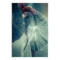 Close Up Water Drip Petals Botanical & Floral Photograph Unframed Art Print Wall Art