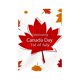 thumbnail image 1 of Banderín Decorativo De Arpillera Con Bandera De Canadá Para Jardín Celebraciones Al Aire Libre Y En El Jardín Con Motivos Patrióticos Eventos Festivos Del 1 De Julio, 1 of 5