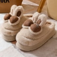 thumbnail image 3 of Zapatos de algodón para mujer, zapatillas peludas de nuevo estilo 2024, lindas zapatillas de invierno para mujer, además de terciopelo, versátiles y cálidas para parejas, 3 of 5