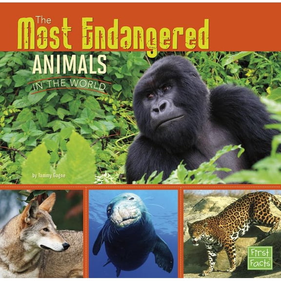 All about Animals: The Most Endangered Animals in the World (Hardcover)