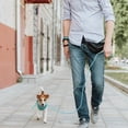 thumbnail image 4 of unbranded Arnés Para Perro Pequeño Con Correa De Cuerda Resistente Y Antitirones Para Entrenamiento, 4 of 8