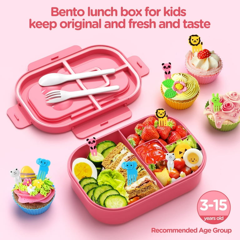 Bento Box For Teens