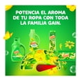 thumbnail image 3 of Gain Fireworks Perlas con Intensificador de Aroma Original 422 g Gain Gain/Detergente/Blissful, 3 of 3