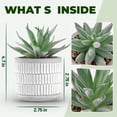 thumbnail image 3 of Set de plantas suculentas artificiales Der Rose para decoración del hogar, 3 of 7