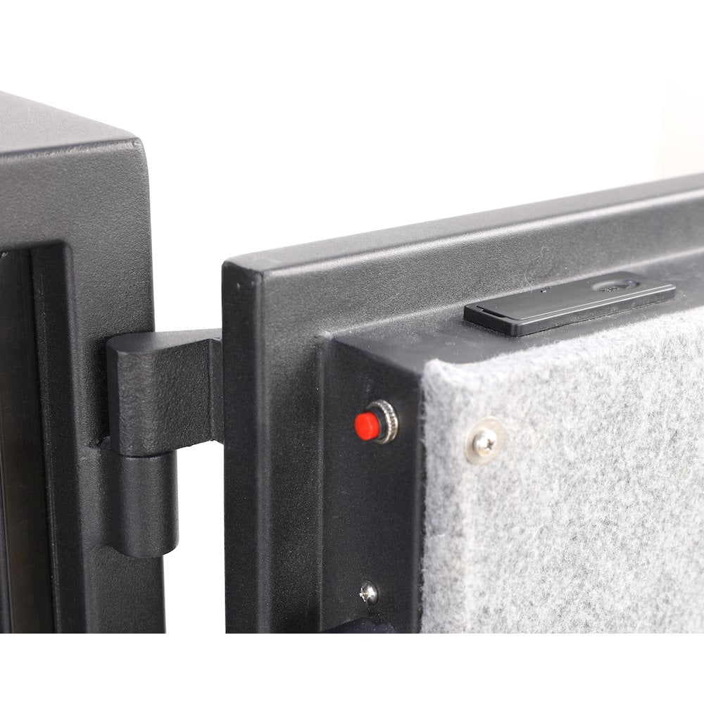 American Furniture Classics Homesecure Fireproof Personal Document and Firearm Safe