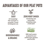 Jiffy 5 Peat Pots, (6 Pack)