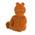 thumbnail image 3 of Care Bears Infant Tenderheart Bear Costume, 3 of 4