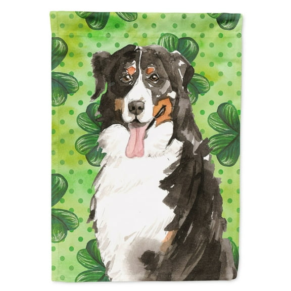 Carolines Treasures CK1815GF Shamrocks Bernese Mountain Dog Flag Garden Size  Small multicolor