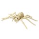 thumbnail image 2 of Decoraciones de Esqueleto de Serpiente y Araña para Halloween | Mini Esqueletos Articulados de Plástico | Decoración Ligera y Reutilizable para Fiestas de Halloween | Cementerio de Casas Embrujadas p, 2 of 5
