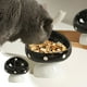 thumbnail image 1 of Ceramics Pet Bowl Set Wide Mouth Pet Food Bowl Non-Slip Pet Bowl Elevated Neck Support Feeder, 1 of 6