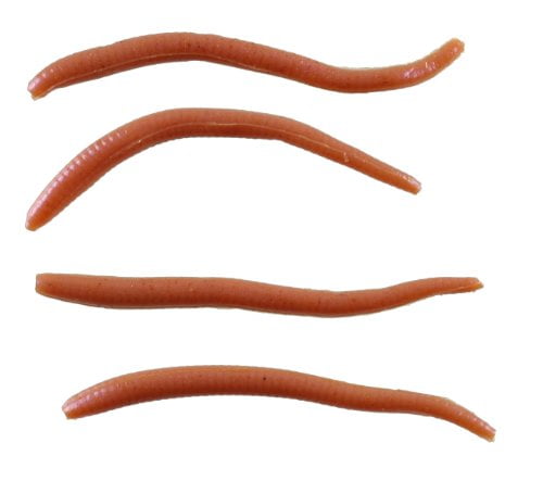 Alive Gulp NEW Angle Worm 1140586