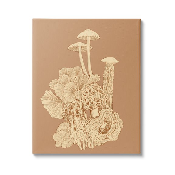 Stupell Industries Detailed Mushrooms Forest Flora Nature Plants Arrangement Graphic Art Gallery Wrapped Canvas Print Wall Art, Design by Ziwei Li