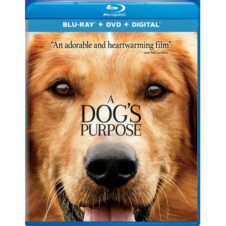 UPC 025192395581 product image for A Dog s Purpose (Blu-ray + DVD) | upcitemdb.com
