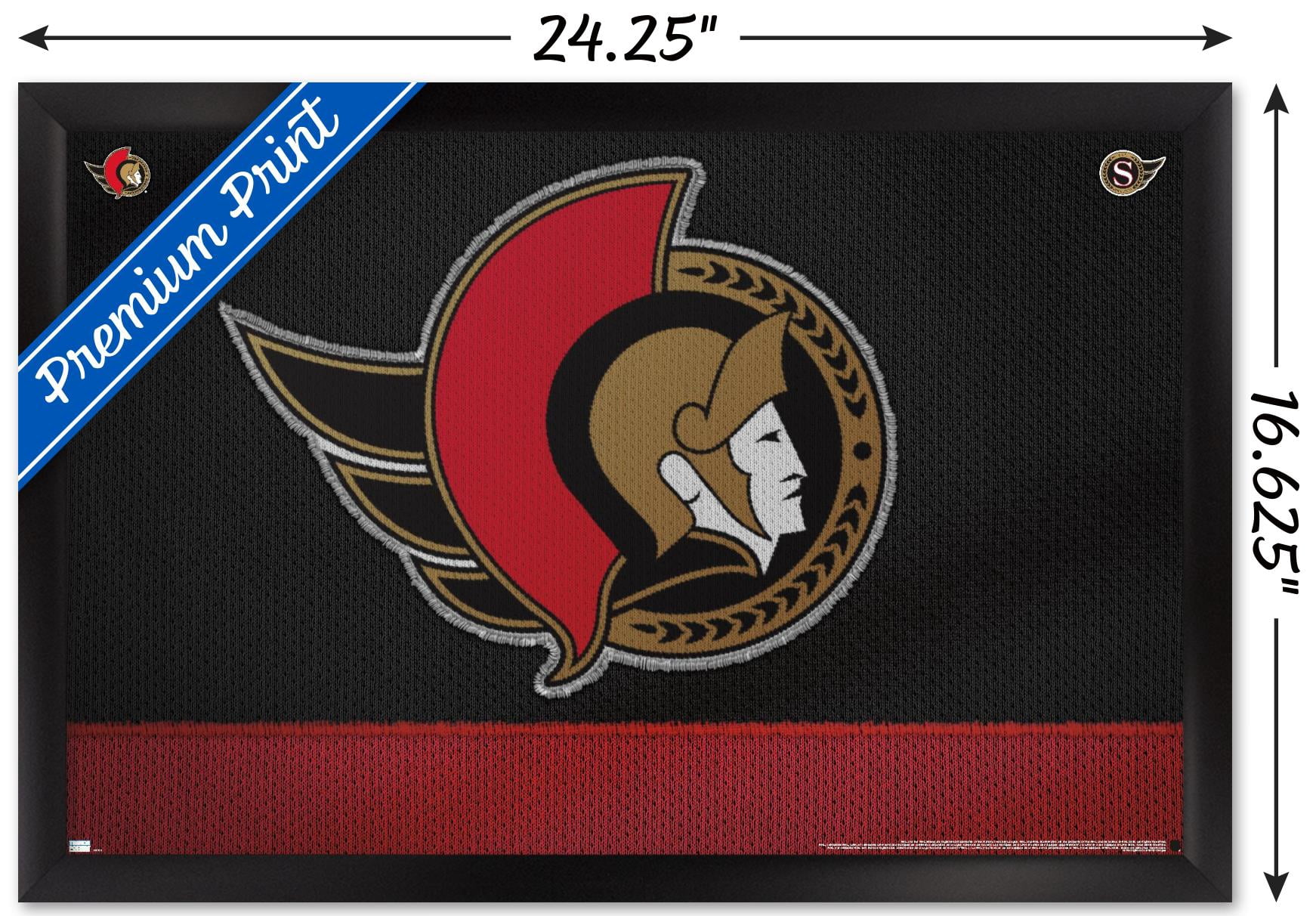 NHL Ottawa Senators - Logo 20 Wall Poster, 14.725" x 22.375", Framed