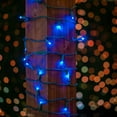 thumbnail image 3 of Novelty Lights Coaxial 4 PK 25 FT 50 Blue LED Christmas String, Commercial Grade Green Wire, 3 of 8