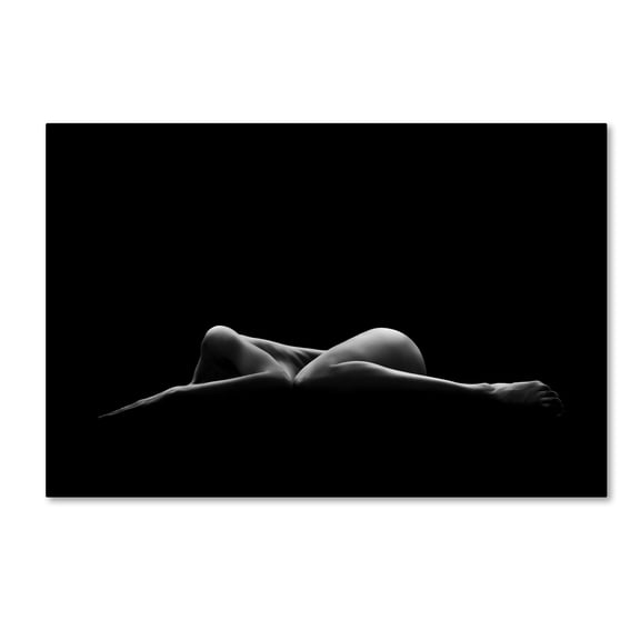 Leon Schr�der 'Bodyscape' Canvas Art