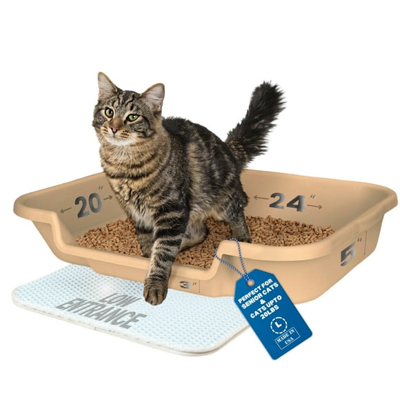 Kitty Go Here Senior Cat Litter Box for the Kitties that can't cope with a traditional litter box.