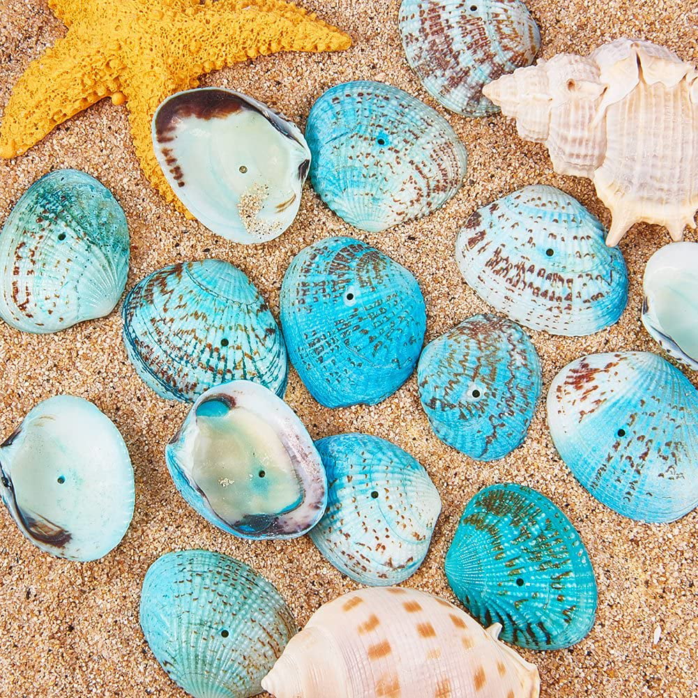 Weoxpr 200pcs Sea Shells Mixed Ocean Beach Seashells Various Sizes Natural Seashells for Fish Tank Home Decorations Beach Theme Party Candle