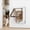 White, variant on Cat Door,Cat Door Interior Door,Cat Door for Interior Exterior Door (Outer Size 9.8" x 9.3"), 4-Way Locking Flap for Cats & Dogs(Circumference < 23"), Weatherproof Pet Door(Black L)