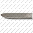 thumbnail image 3 of AME D’ESSENCE Jumbo Steak Knives, Stainless Steel, Serrated Edge, Round Tip, Plastic Handle, 12-Pack, 5 Inch, 3 of 4