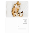 thumbnail image 1 of Animal ocelote Cat fotografía dispara Set cumpleaños gracias tarjeta postal correo lado 20pcs, 1 of 3
