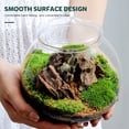 thumbnail image 3 of Oraceous Transparent Glass Planter Jars Terrarium Containers for Indoor Plants, , Landscaping and Home Decor, 3 of 11